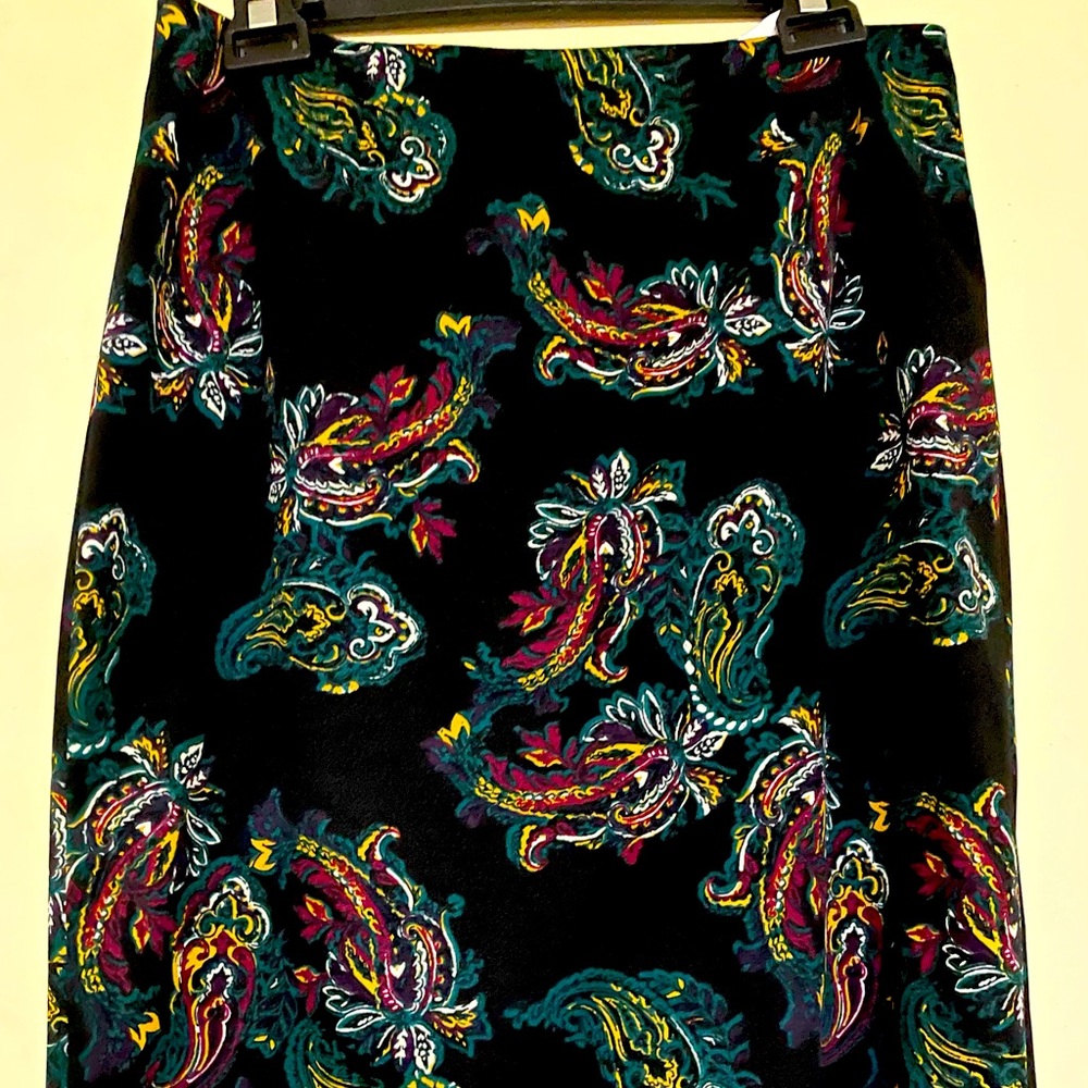 Black Label Beautiful Knee Length Pencil Skirt